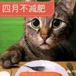 娱乐吃瓜酱猫打翻电视,引发网友热议
