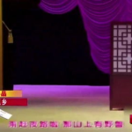 返乡小品,返乡小品中的温馨记忆与时代变迁