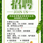 招工启事怎么写简洁,共创辉煌